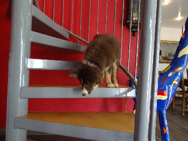 Treppen Foto