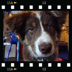 Lady Foto