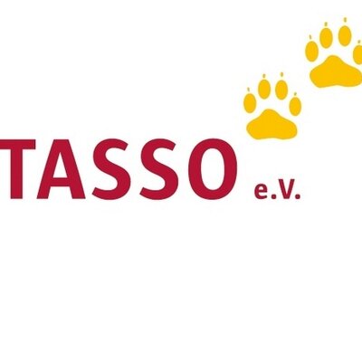 Tasso Bild