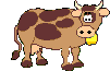 Kuh GIF